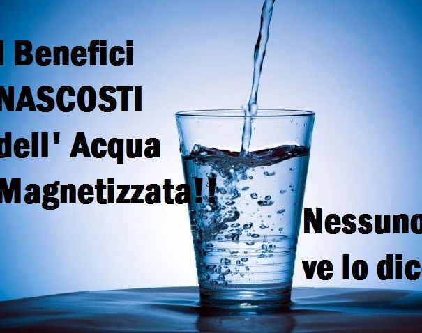 Acqua Magnetizzata… article-post