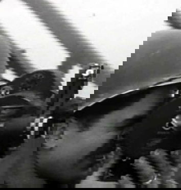 La disinformazione totale