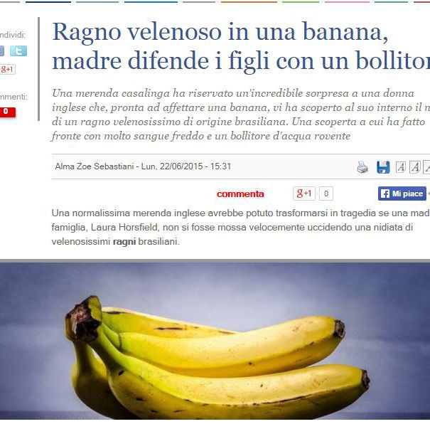 I ragni e le banane – la rivincita article-post