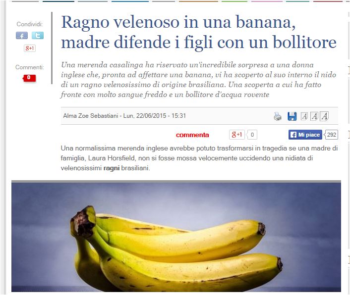 article-post