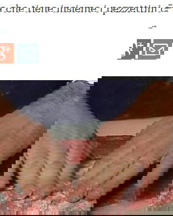 La “colla da carne” e la disinformazione allarmistica