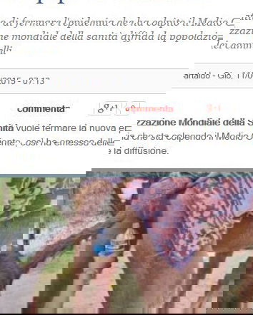 Il Giornale e il velato razzismo