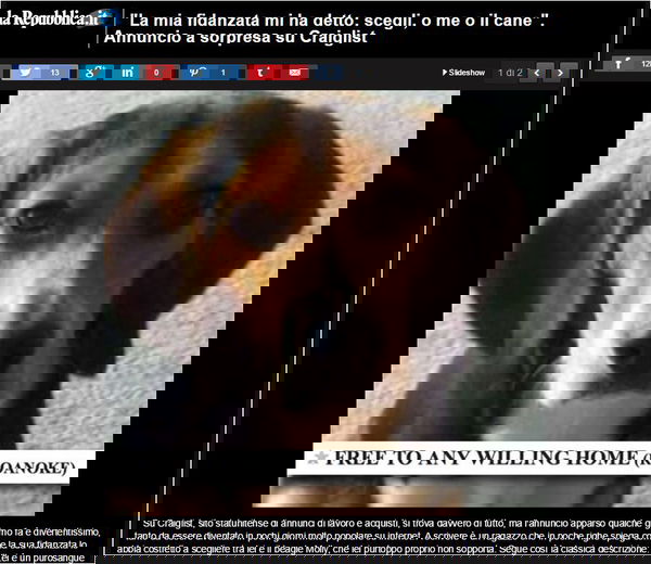 Scegli, o me o il cane!