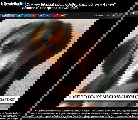 Scegli, o me o il cane! article-post