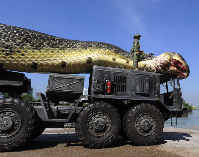 L’anaconda più grande del mondo article-post