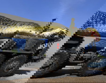 L’anaconda più grande del mondo article-post