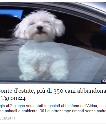 L’AIDAA e i cani abbandonati d’estate