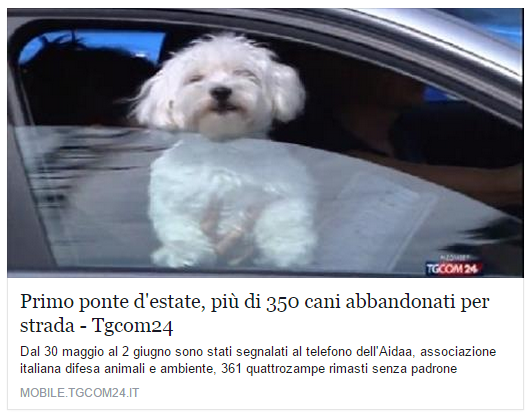 L’AIDAA e i cani abbandonati d’estate