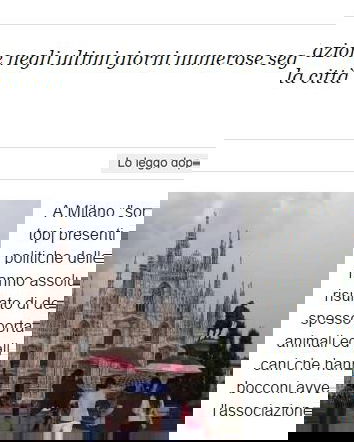 Lollo, i topi e le redazioni piene d’incapaci