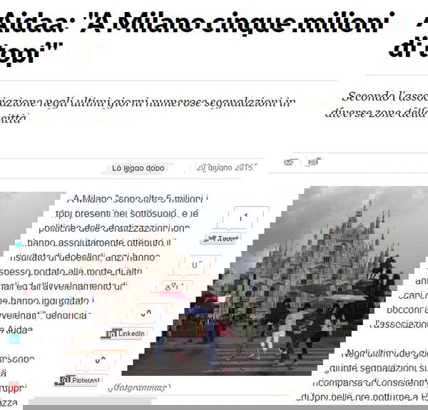 Lollo, i topi e le redazioni piene d’incapaci