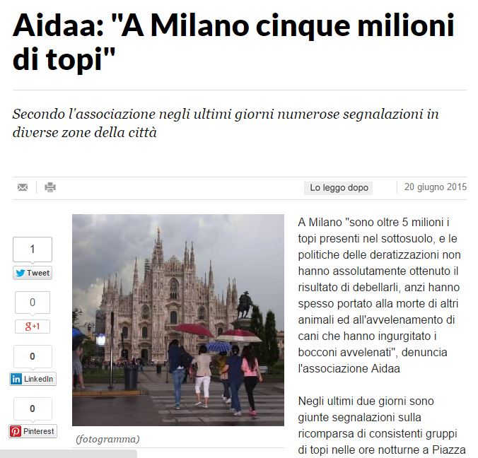 Lollo, i topi e le redazioni piene d’incapaci article-post