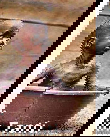 Gli sciacalli della rete