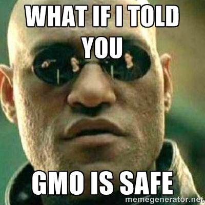 Il cibo OGM, riconoscibile?