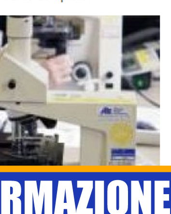 Cancro in crescita mondiale…