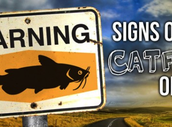 Catfishing, parte II. “Elementare, Watson!”