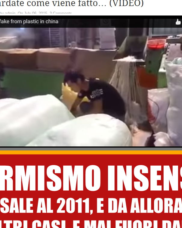 Il riso di plastica article-post