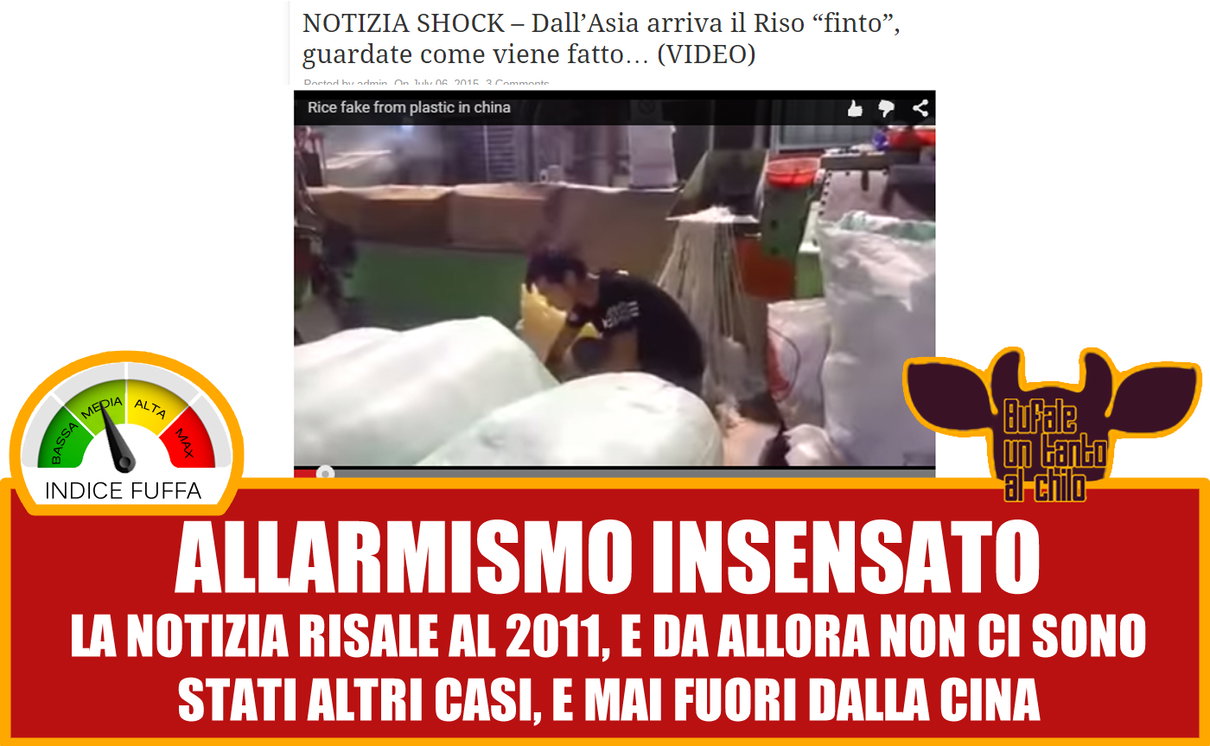 Il riso di plastica article-post