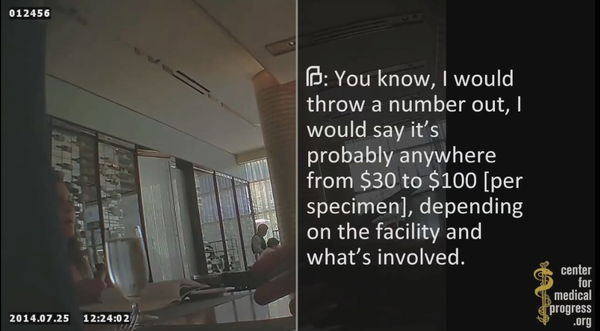 Aborti e disinformazione