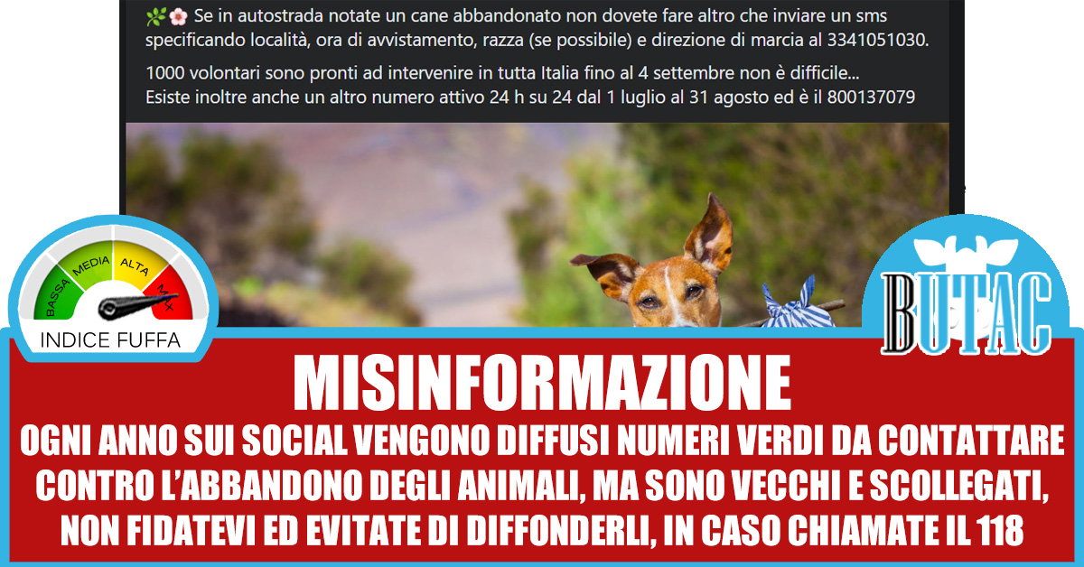 Il numero verde contro l’abbandono degli animali article-post