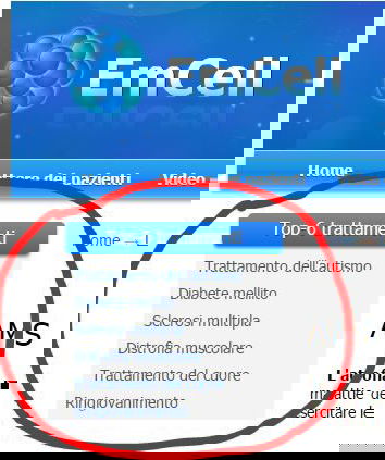 Il mercato delle cellule staminali embrionali: EmCell