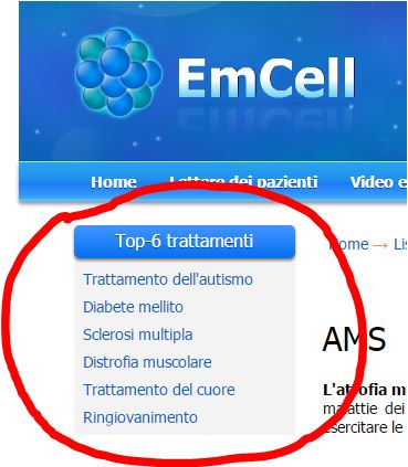 Il mercato delle cellule staminali embrionali: EmCell