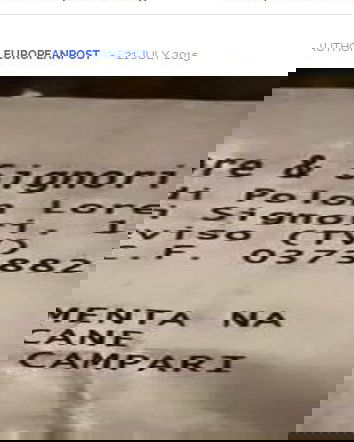 L’acqua per il cane