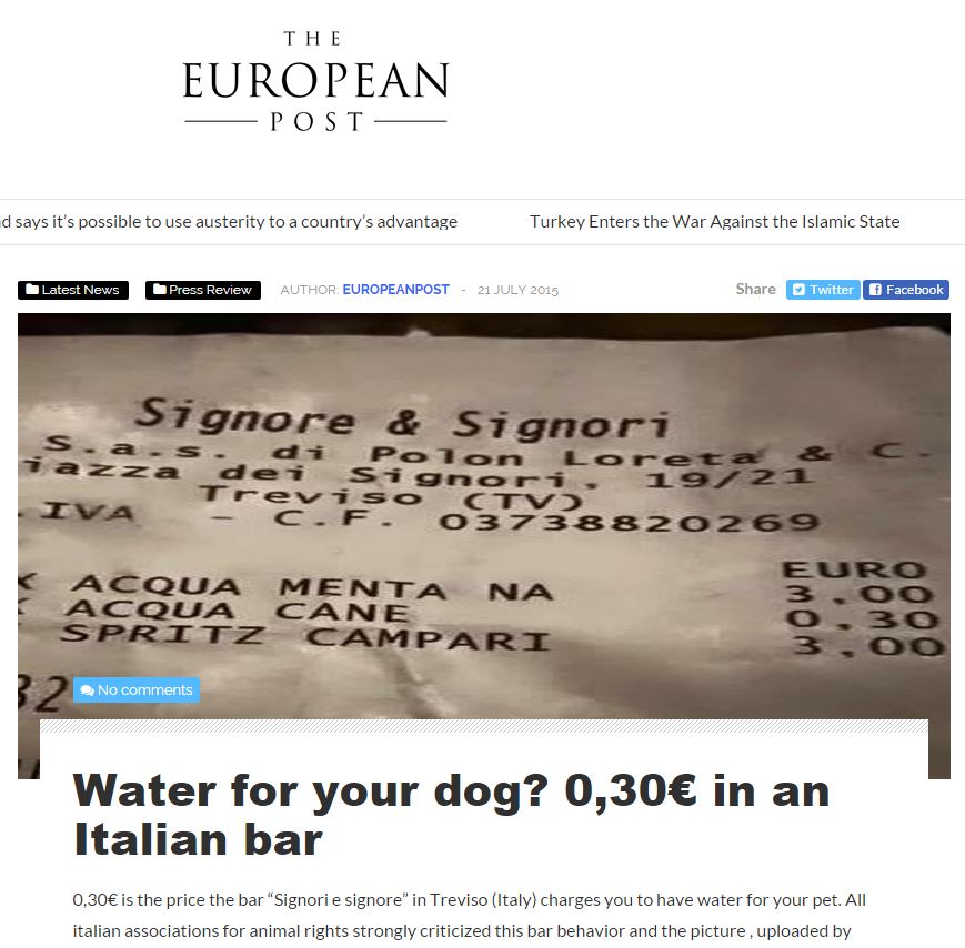 L’acqua per il cane article-post