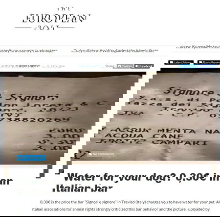 L’acqua per il cane article-post