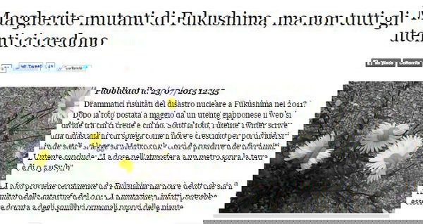 Le margherite mutanti di Fukishima