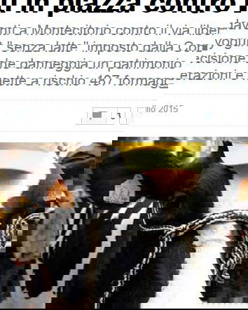 Il formaggio senza latte ci seppellirà?