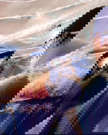 Operazioni con la luce del telefono