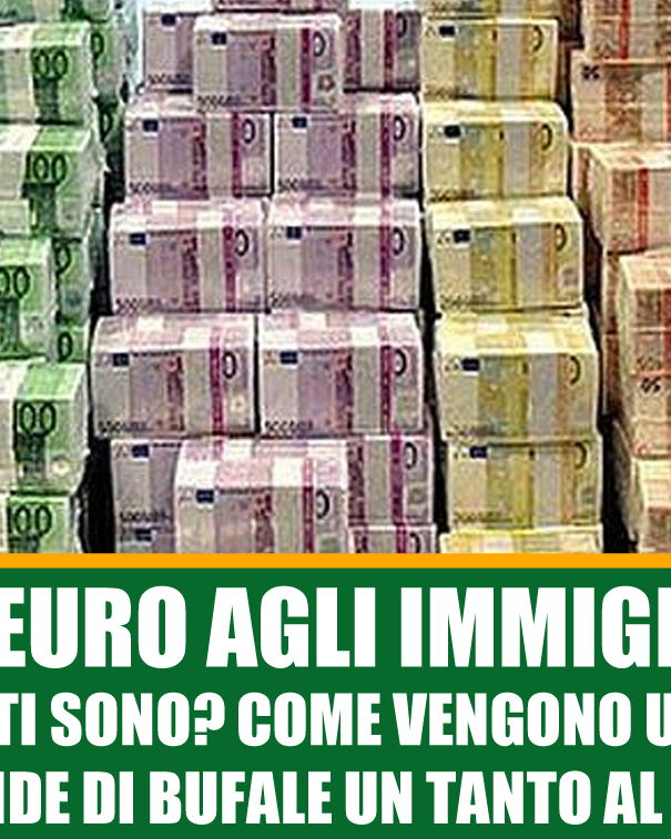 Soldi agli immigrati article-post