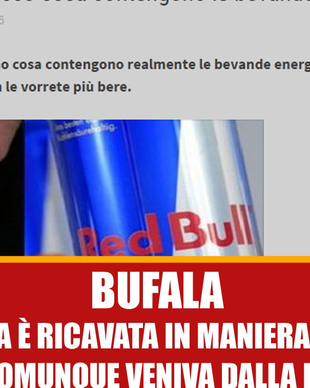 Lo sperma di toro nelle energy drink article-post
