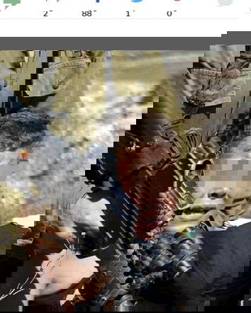 Il Daily Mail e le aggressioni in Cisgiordania