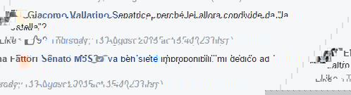 La senatrice e il blog di mio cuggino article-post