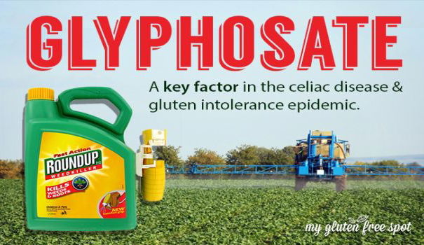 La celiachia causata da un pesticida? article-post