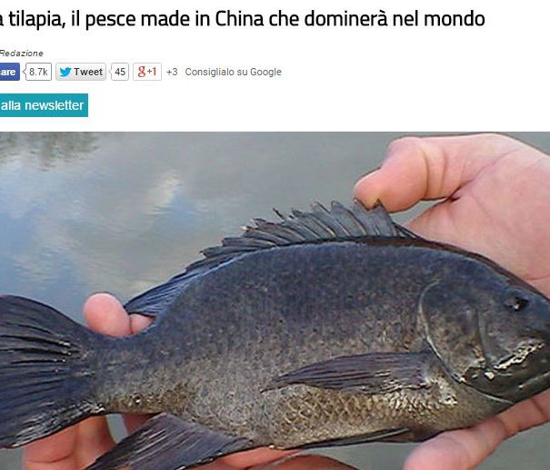 Il pesce Tilapia, TzeTze e gli acchiappaclick article-post
