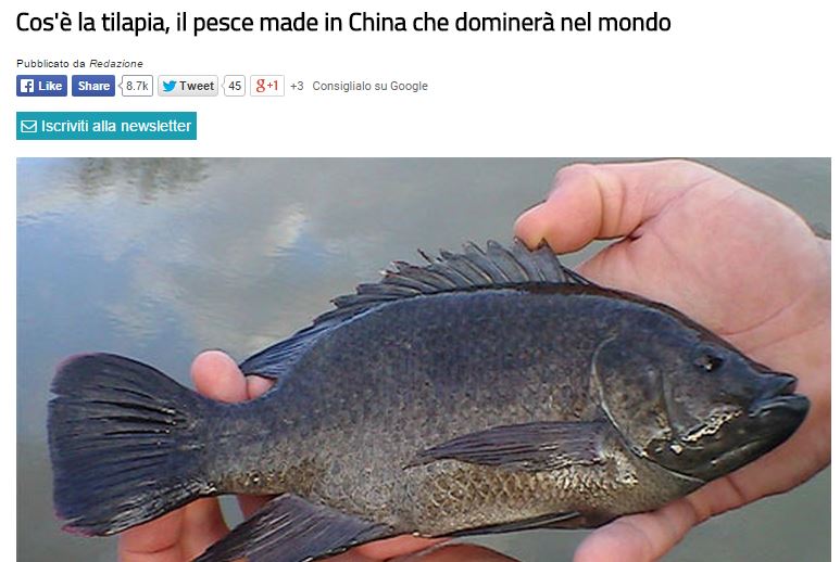 Il pesce Tilapia, TzeTze e gli acchiappaclick article-post