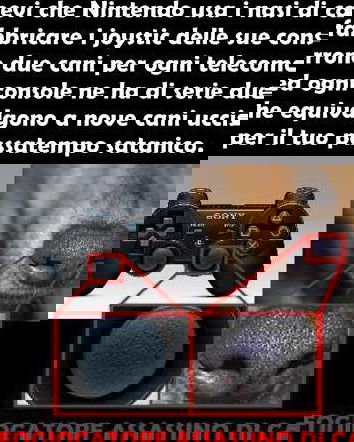 A volte la fuffa può far sorridere!