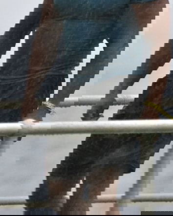 I profughi muscolosi