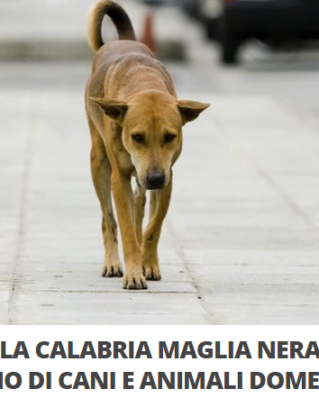 Ancora dati impossibili raccolti da AIDAA