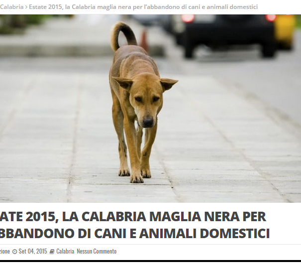Ancora dati impossibili raccolti da AIDAA article-post