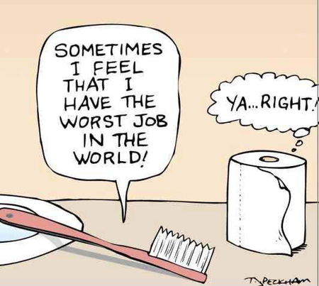 TzeTze, gli spazzolini e la materia fecale article-post