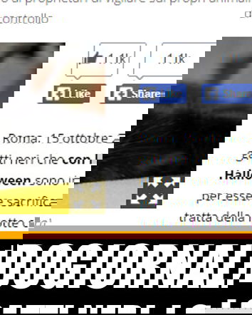 Halloween, i gatti neri e lo pseudogiornalismo