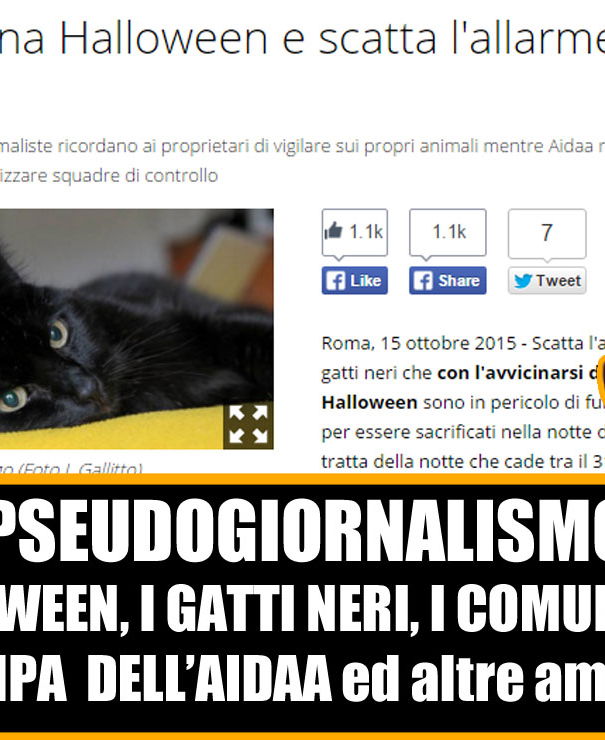 Halloween, i gatti neri e lo pseudogiornalismo article-post