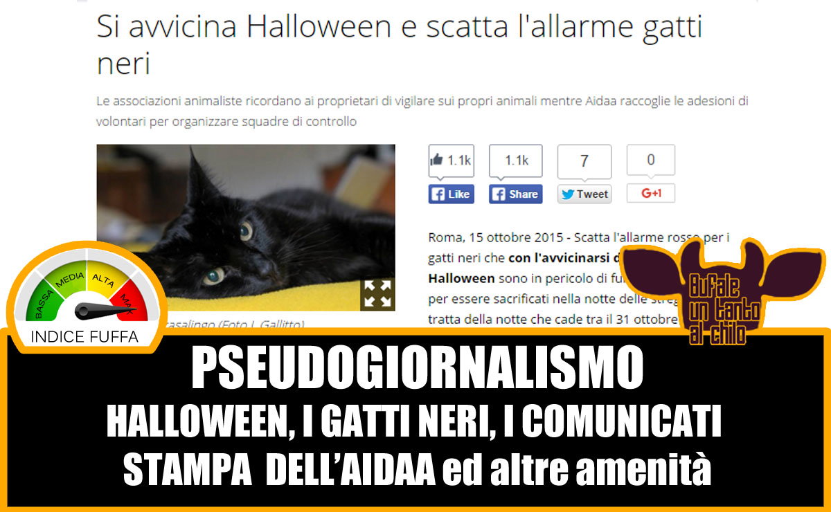 Halloween, i gatti neri e lo pseudogiornalismo article-post