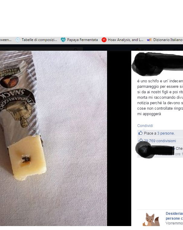 C’è una mosca nel Parmareggio! article-post