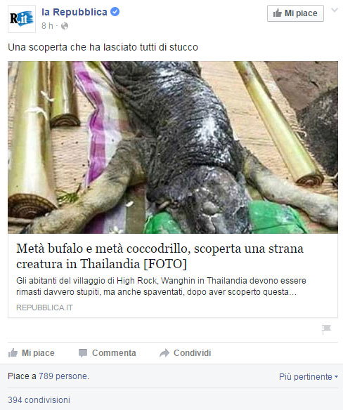 L’ibrido metà bufalo e metà coccodrillo article-post