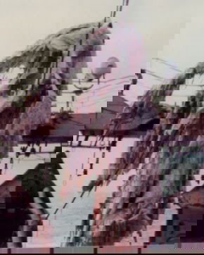 Il mostro di Loch Ness?