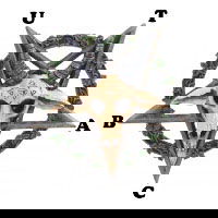 Rivelazioni su Butac